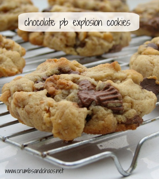 Chocolate PB Explosion Cookies | Crumbs and Chaos