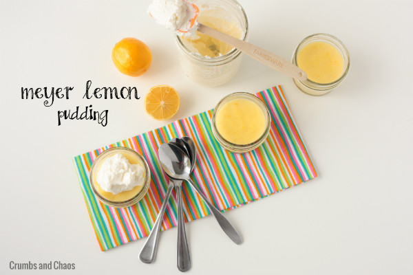 Meyer Lemon Pudding Recipe | Crumbs and Chaos