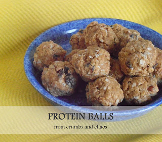 protein balls