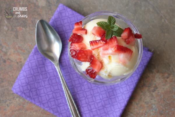 Old Fashioned Vanilla Ice Cream | Crumbs and Chaos #icecream #summer #vanilla www.crumbsandchaos.dreamhosters.com