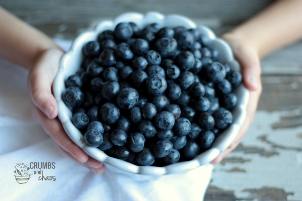 blueberries in bowl | Crumbs and Chaos