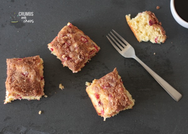 Cranberry Streusel Coffee Cake | Crumbs and Chaos #breakfast #cranberries #fall www.crumbsandchaos.dreamhosters.com