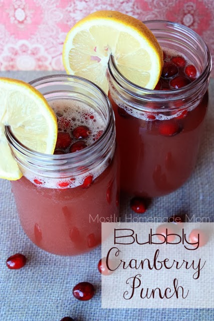 Bubbly Cranberry Punch 1