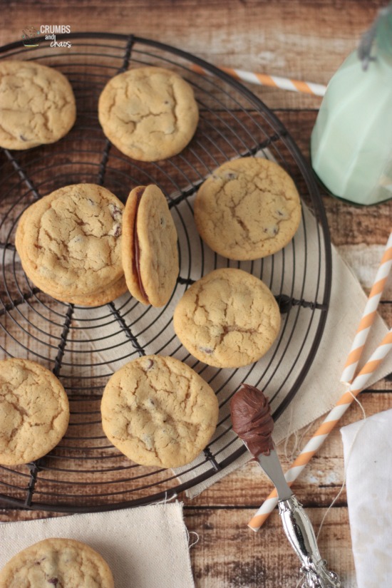 Mini Chocolate Chip Cookies | Crumbs and Chaos