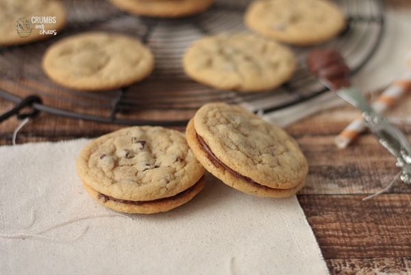 Mini Chocolate Chip Cookies | Crumbs and Chaos