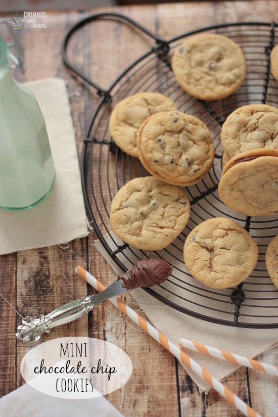 Mini Chocolate Chip Cookies | Crumbs and Chaos