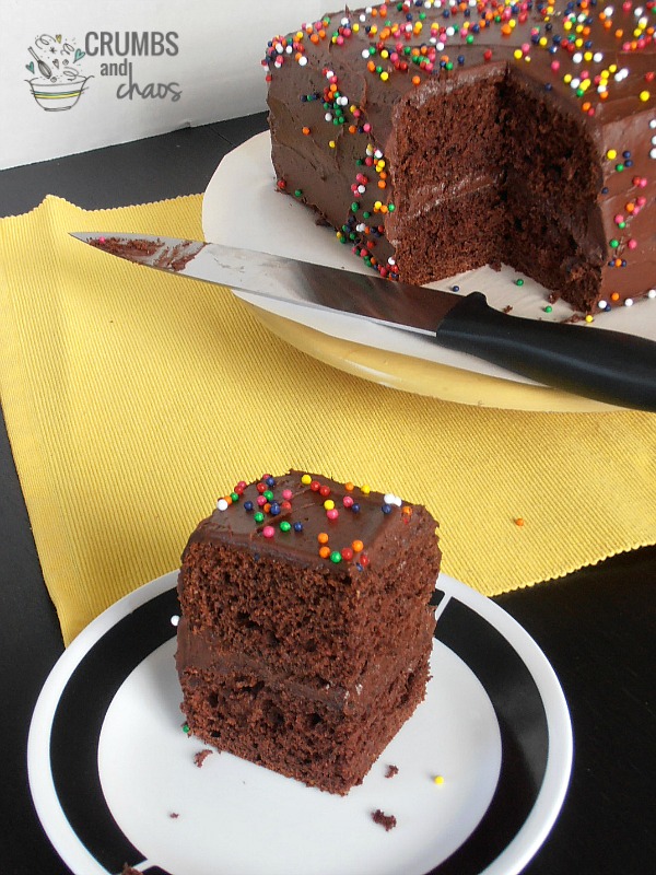 Chocolate Pudding Cake | Crumbs and Chaos