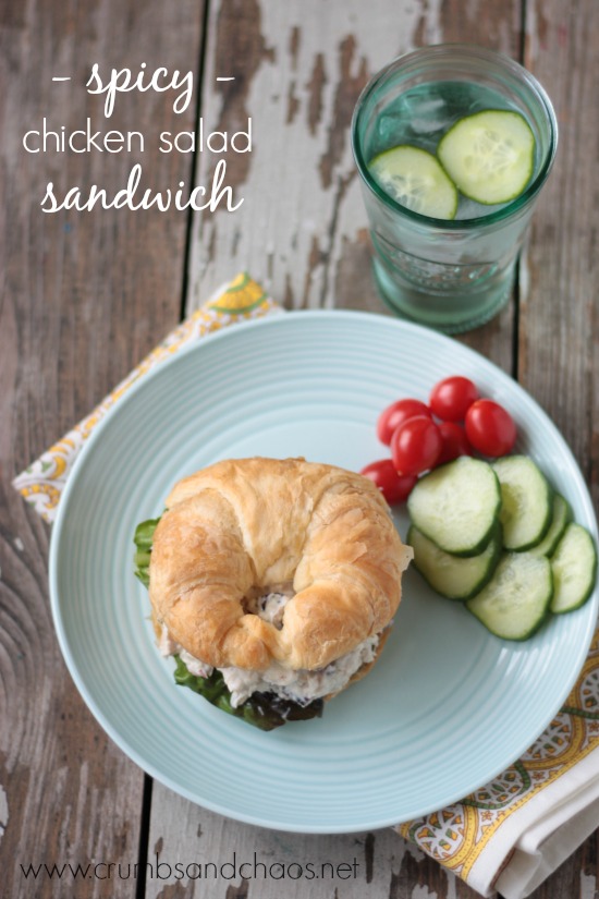 Spicy Chicken Salad Sandwiches | Crumbs and Chaos