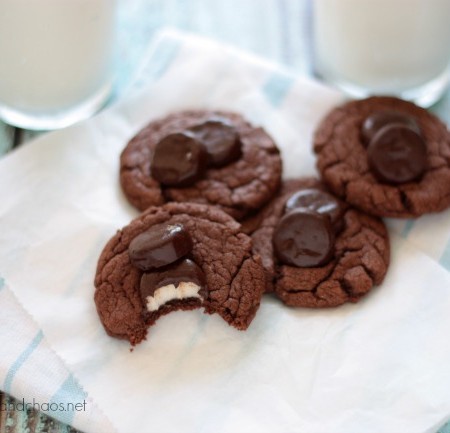 Peppermint Pattie Cookies | Crumbs and Chaos