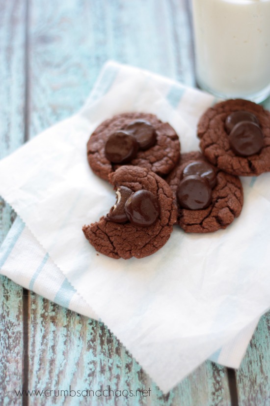 Peppermint Pattie Cookies | Crumbs and Chaos