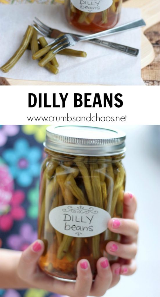 Pickled and zesty, Dilly Beans are an easy way to preserve fresh green beans and enjoy them all year long!