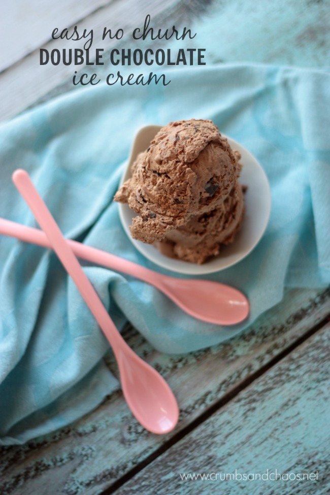 Double Chocolate Ice Cream | get the recipe for this easy, no churn ice cream on Crumbs and Chaos