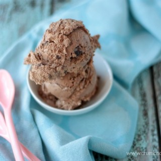 Double Chocolate Ice Cream | get the recipe for this easy, no churn ice cream on Crumbs and Chaos