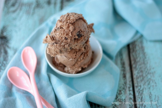 Double Chocolate Ice Cream | get the recipe for this easy, no churn ice cream on Crumbs and Chaos