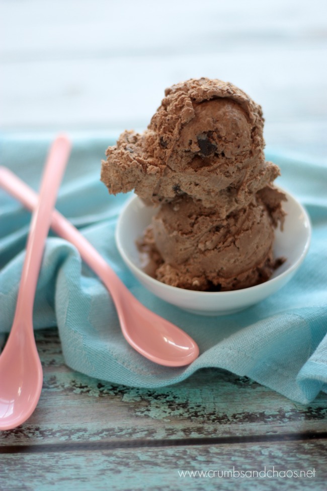 Double Chocolate Ice Cream | get the recipe for this easy, no churn ice cream on Crumbs and Chaos