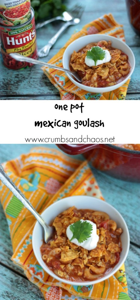 One Pot Mexican Goulash | recipe by Crumbs and Chaos