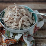 All Purpose Slow Cooker Shredded Chicken | Crumbs and Chaos