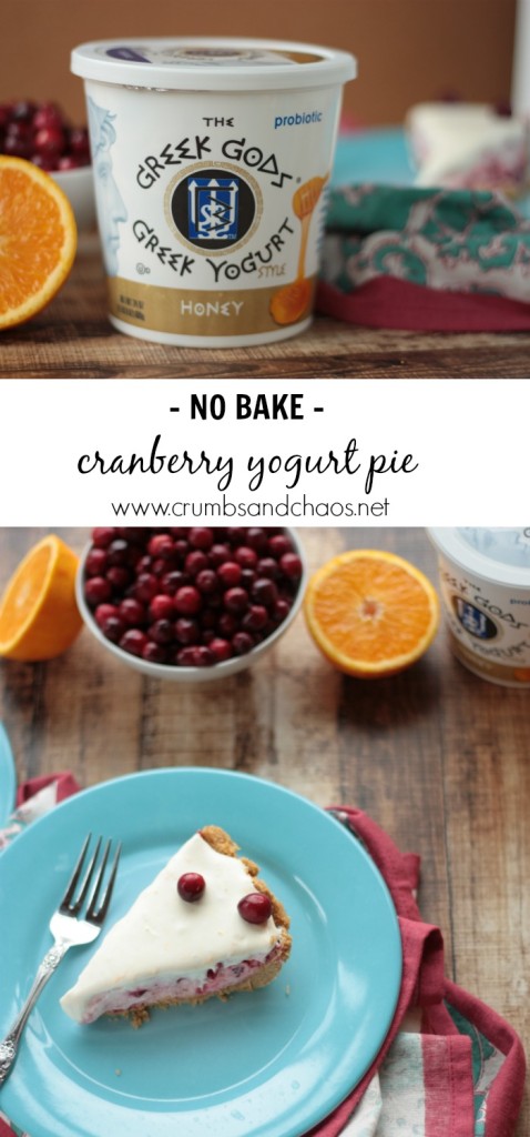 No Bake Cranberry Yogurt Pie | Crumbs and Chaos