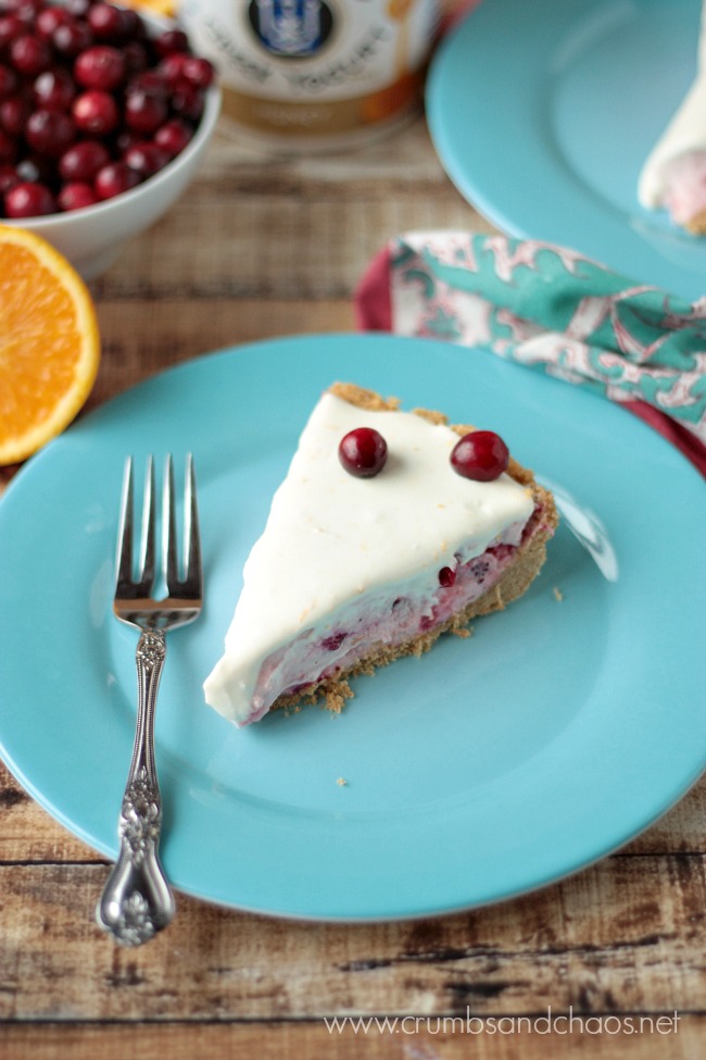 No Bake Cranberry Yogurt Pie | Crumbs and Chaos