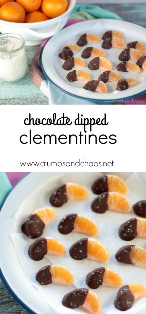 Chocolate Dipped Clementines | Crumbs and Chaos