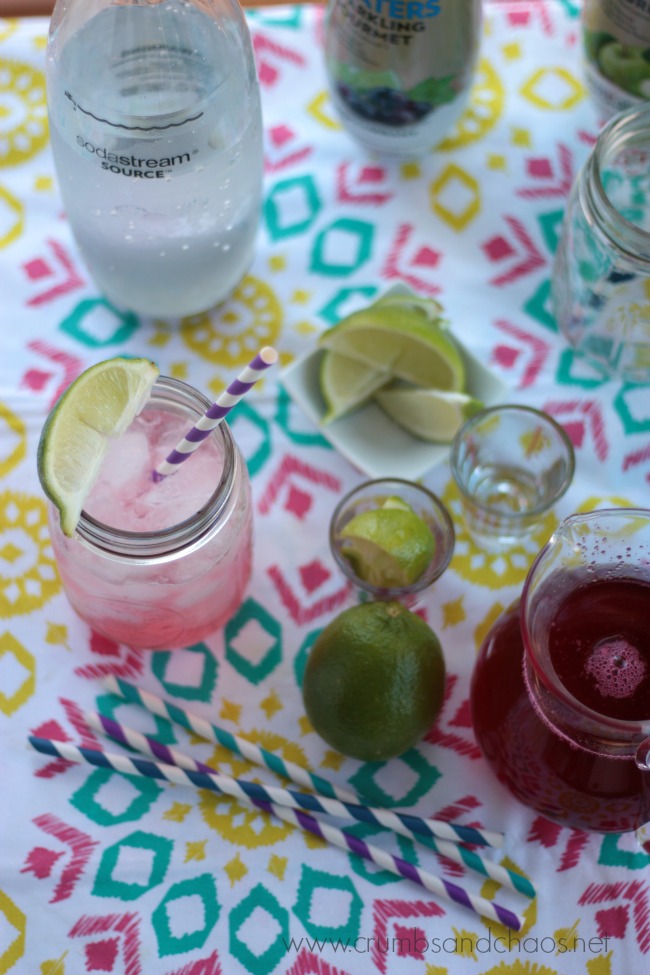 Cranberry Lime Spritzer | Crumbs and Chaos