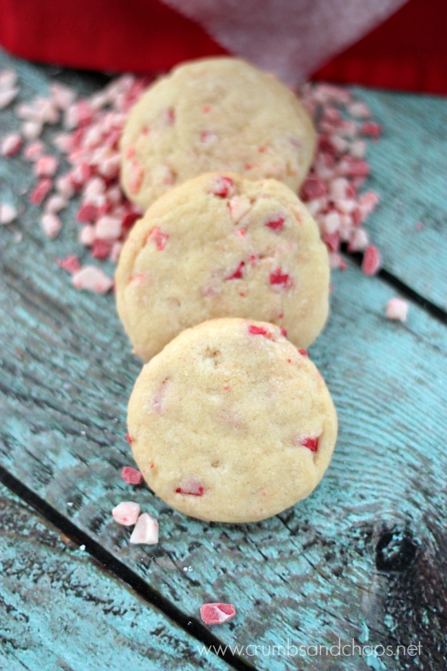 Peppermint Crunch Sugar Cookies | Crumbs and Chaos