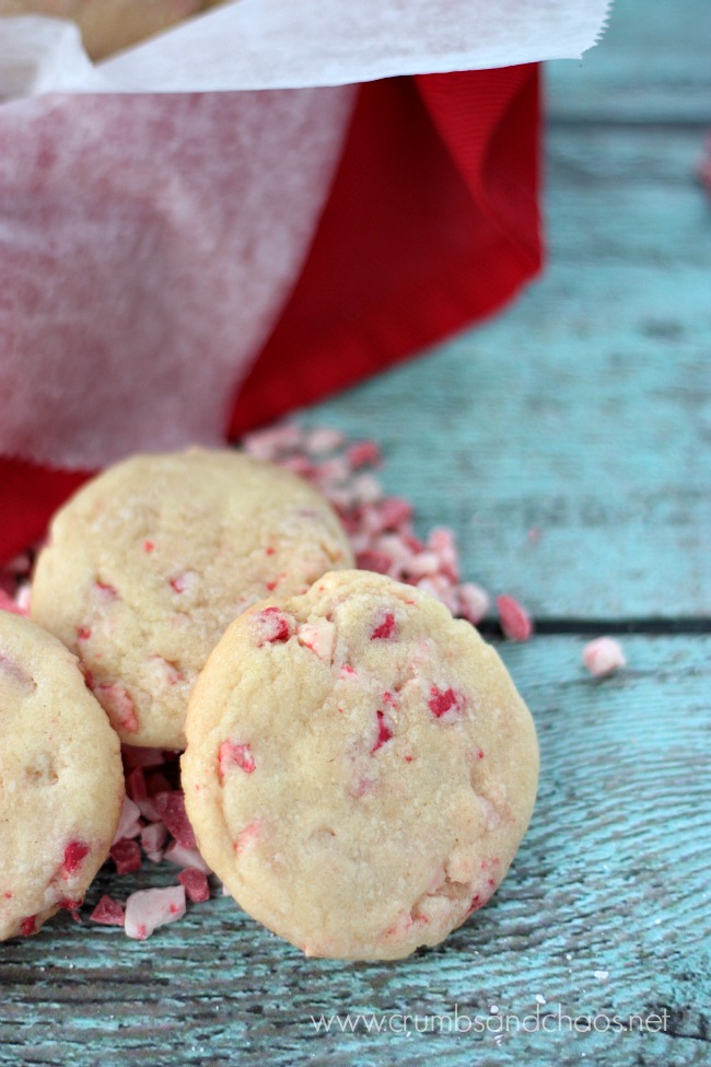 Peppermint Crunch Sugar Cookies | Crumbs and Chaos