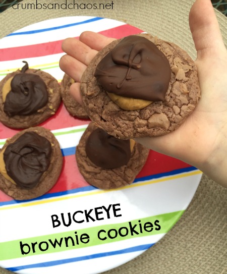 BUCKEYE BROWNIE COOKIES | crumbsandchaos.dreamhosters.com | #brownies #cookies #peanutbutter #chocolate