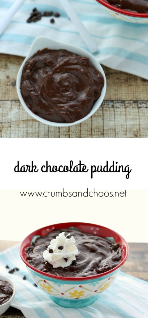 Dark Chocolate Pudding | Crumbs and Chaos