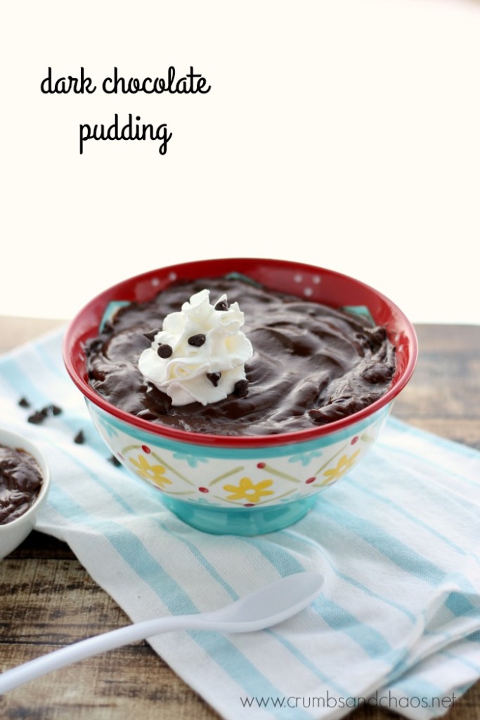 Dark Chocolate Pudding | Crumbs and Chaos