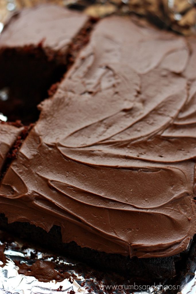 Chocolate Crazy Cake | Crumbs and Chaos