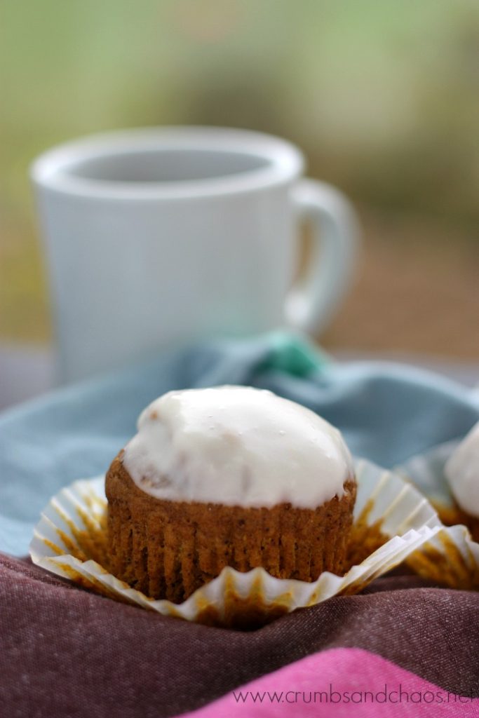 Bursting with all the pumpkin goodness, this recipe for Pumpkin Maple Muffins makes enough for a crowd!