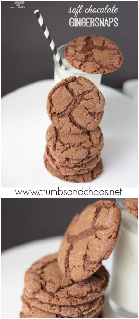 You'll love these Soft Chocolate Gingersnaps!  Make them now and throw them in the freezer for whenever you need them!